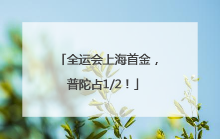 全运会上海首金，普陀占1/2！