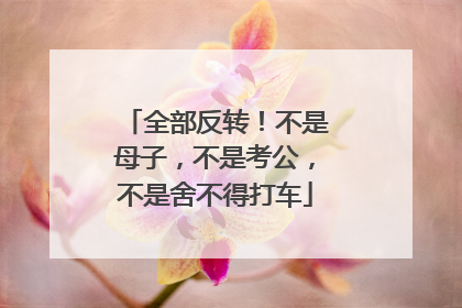 全部反转！不是母子，不是考公，不是舍不得打车