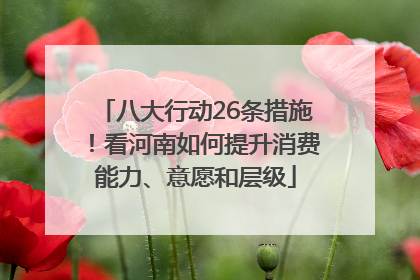八大行动26条措施！看河南如何提升消费能力、意愿和层级