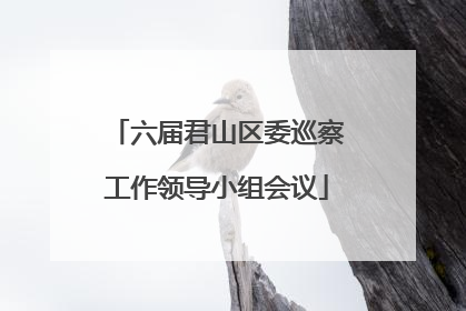 六届君山区委巡察工作领导小组会议