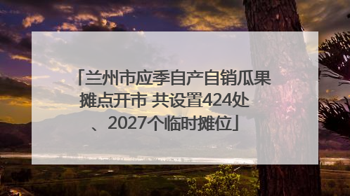 兰州市应季自产自销瓜果摊点开市 共设置424处、2027个临时摊位