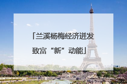 兰溪杨梅经济迸发致富“新”动能