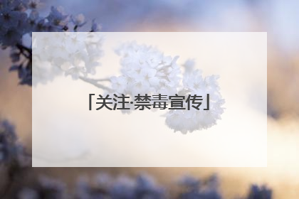 关注·禁毒宣传