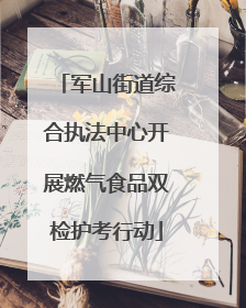 军山街道综合执法中心开展燃气食品双检护考行动