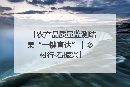 农产品质量监测结果“一键直达”｜乡村行·看振兴