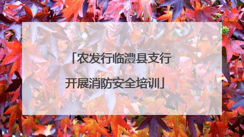 农发行临澧县支行开展消防安全培训