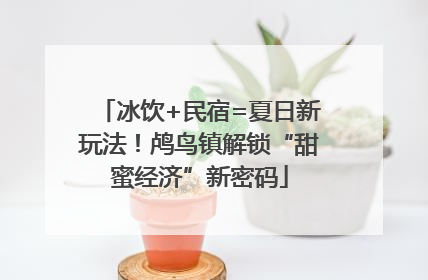 冰饮+民宿=夏日新玩法！鸬鸟镇解锁“甜蜜经济”新密码