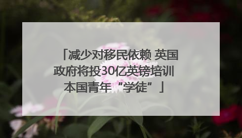 减少对移民依赖 英国政府将投30亿英镑培训本国青年“学徒”