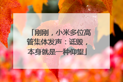 刚刚，小米多位高管集体发声：诋毁，本身就是一种仰望