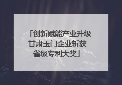 创新赋能产业升级 甘肃玉门企业斩获省级专利大奖