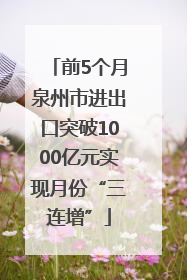 前5个月泉州市进出口突破1000亿元实现月份“三连增”