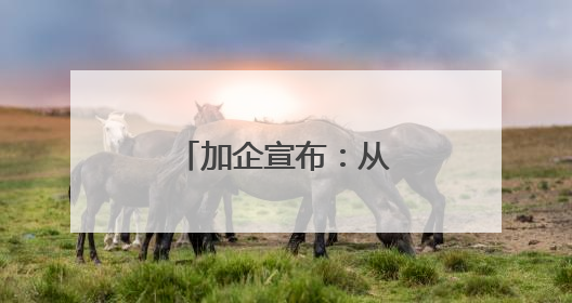 加企宣布：从中国采购4艘