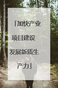 加快产业项目建设 发展新质生产力