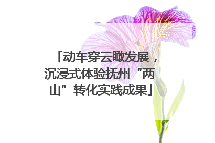 动车穿云瞰发展，沉浸式体验抚州“两山”转化实践成果