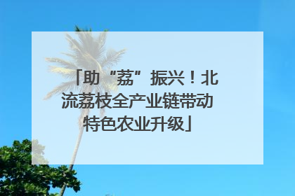 助“荔”振兴！北流荔枝全产业链带动特色农业升级
