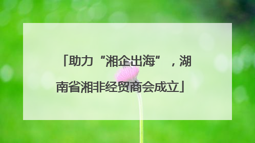 助力“湘企出海”，湖南省湘非经贸商会成立