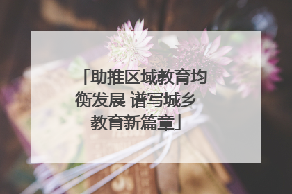助推区域教育均衡发展 谱写城乡教育新篇章