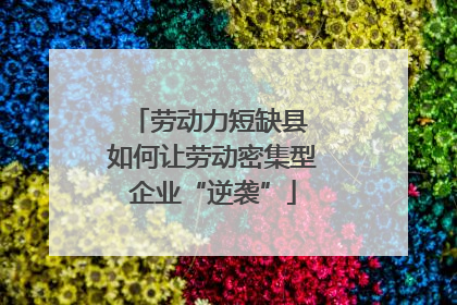 劳动力短缺县 如何让劳动密集型企业“逆袭”