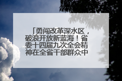 勇闯改革深水区，破浪开放新蓝海！省委十四届九次全会精神在全省干部群众中引发热烈反响
