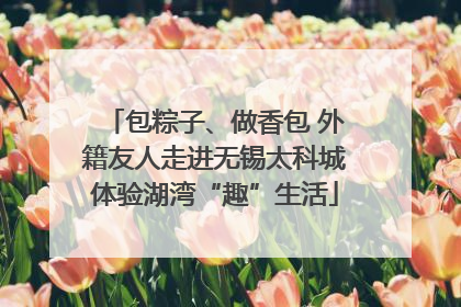包粽子、做香包 外籍友人走进无锡太科城体验湖湾“趣”生活