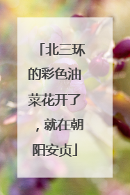北三环的彩色油菜花开了，就在朝阳安贞