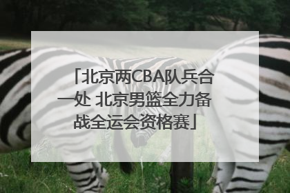 北京两CBA队兵合一处 北京男篮全力备战全运会资格赛