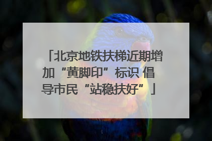 北京地铁扶梯近期增加“黄脚印”标识 倡导市民“站稳扶好”