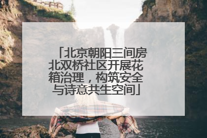 北京朝阳三间房北双桥社区开展花箱治理，构筑安全与诗意共生空间
