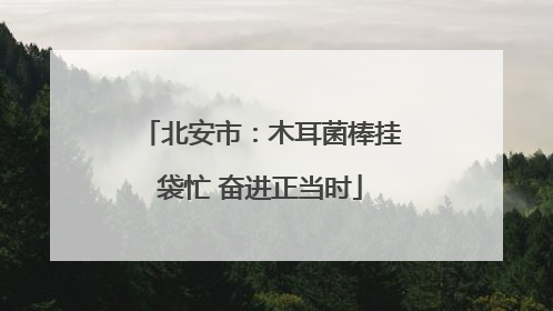 北安市：木耳菌棒挂袋忙 奋进正当时