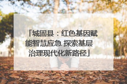城固县：红色基因赋能智慧应急 探索基层治理现代化新路径
