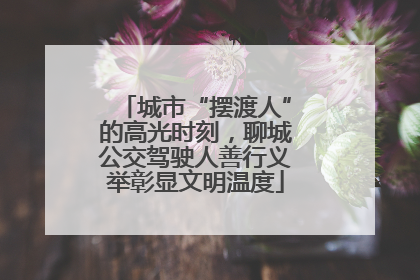 城市“摆渡人”的高光时刻，聊城公交驾驶人善行义举彰显文明温度