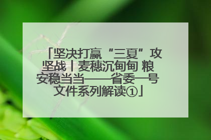 坚决打赢“三夏”攻坚战丨麦穗沉甸甸 粮安稳当当——省委一号文件系列解读①