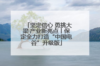 坚定信心 勇挑大梁·产业新亮点丨保定全力打造“中国电谷”升级版