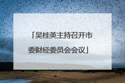 吴桂英主持召开市委财经委员会会议