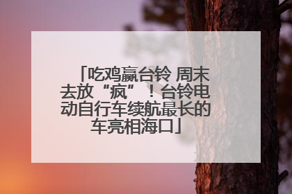 吃鸡赢台铃 周末去放“疯”！台铃电动自行车续航最长的车亮相海口