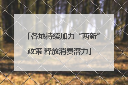 各地持续加力“两新”政策 释放消费潜力