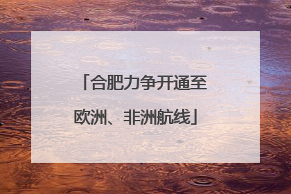 合肥力争开通至欧洲、非洲航线