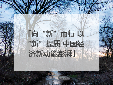 向“新”而行 以“新”提质 中国经济新动能澎湃