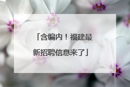 含编内！福建最新招聘信息来了