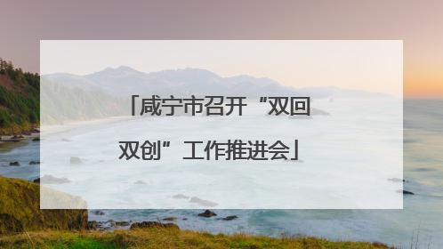 咸宁市召开“双回双创”工作推进会