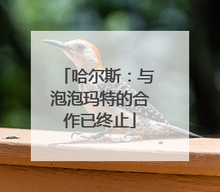 哈尔斯：与泡泡玛特的合作已终止