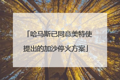 哈马斯已同意美特使提出的加沙停火方案