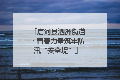 唐河县泗洲街道：青春力量筑牢防汛“安全堤”