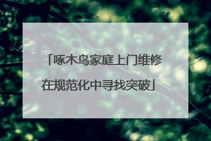 啄木鸟家庭上门维修在规范化中寻找突破