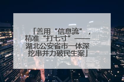 善用“信息流”，精准“打七寸”——湖北公安省市一体深挖串并力破民生案