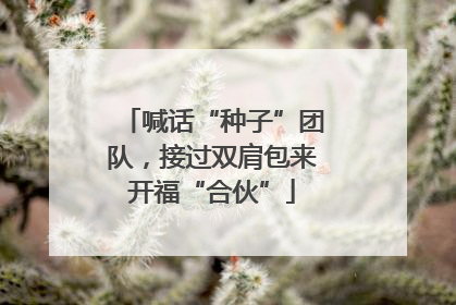 喊话“种子”团队，接过双肩包来开福“合伙”