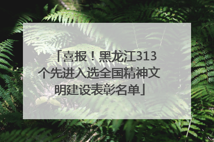喜报！黑龙江313个先进入选全国精神文明建设表彰名单