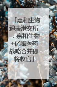 嘉和生物递表港交所：嘉和生物+亿腾医药战略合并即将收官