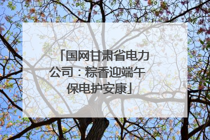 国网甘肃省电力公司：粽香迎端午 保电护安康