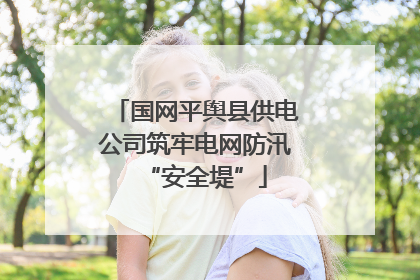 国网平舆县供电公司筑牢电网防汛“安全堤”